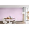 Dulux 5267818 Walls & Ceilings Tester Paint, Pretty Pink, 30