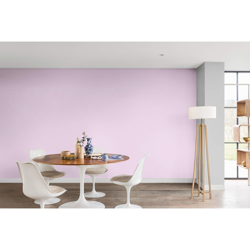 Dulux 5267818 Walls & Ceilings Tester Paint, Pretty Pink, 30