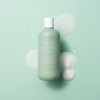 Rated Green Real Tamanu Soothing Scalp Shampoo 400ml / 레이티드그린