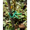 Plant Clips Plant Clips for Trellis Tomatoes, Roses, Cucumbers and
