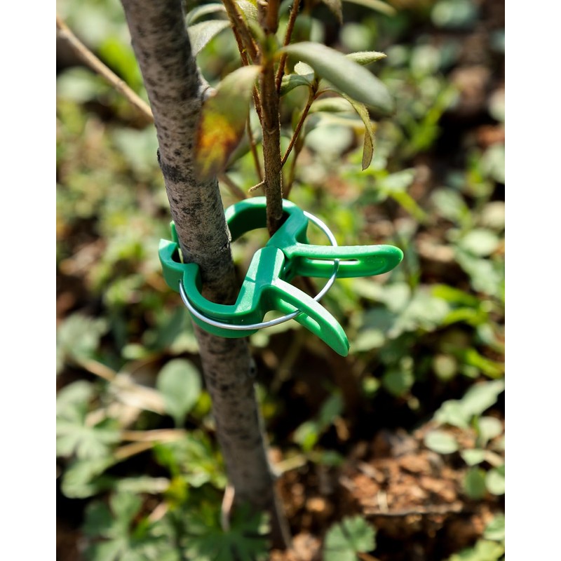 Plant Clips Plant Clips for Trellis Tomatoes, Roses, Cucumbers and
