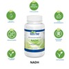 Nature Power - NADH/Coenzyme 1-60 Vegetable Capsules
