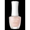 BANDI [NEW] Bandi Salon de Nail 18 types (magnet/glitter/syrup) -