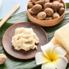 シアーナ フェイシャルローション（化粧水）