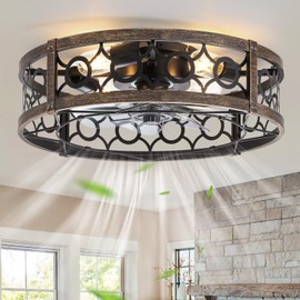 LEDIARY Caged Flush Mount Ceiling Fans with Lights, 20 Inch Farmhouse Low Profile Ceiling Fan with Remote, Small Bladeless Fan Lights Ceiling Fixtures for Bedroom, Kitchen- Black and Gold