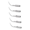 5pcs P1 Dental Clean Machine Tip Stainless Steel Heat Resistance