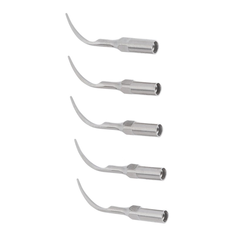 5pcs P1 Dental Clean Machine Tip Stainless Steel Heat Resistance