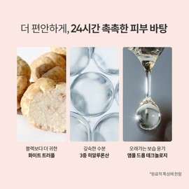 Banila Co. [Vanillaco] Covericious Ultimate White Cushion Moisture Original 14G / [바닐라코] 커버리셔스 얼티밋 화이트 쿠션 모이스처 본품 14G