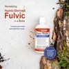 Vital Earth Minerals Fulvic Minerals Liquid – Fulvic Acid Supplement