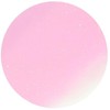 Jill Stuart Jill Stuart Bloom Lip Candy (07 pure water