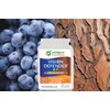 Vision Defender BP Eye Supplement: Bilberry and Pine Bark Extracts