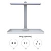 Desk Grow Lights for Indoor Plants Full Spectrum Desk LED