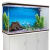 MIRRORANG 61 x 30 cm Underwater Theme Aquarium Background Blue