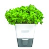 Cole & Mason H105249 Fresh Herb Range Self-Watering Potted Herb