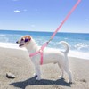 BINGPET Dog Harness, Collar, Leash Set, Dog Harness, Easy to