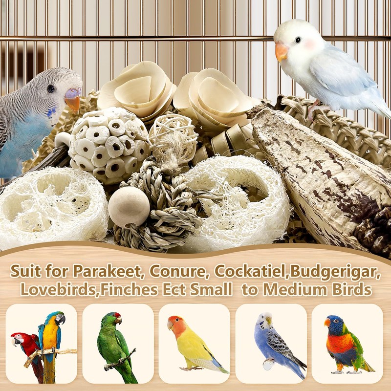 LOPERDEVE Natural Bird Toy Foraging Parrot Shredding Toys Box Conure