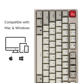 Keychron Keychron C2 Full Size Wired Mechanical Keyboard Compatible with Mac, Keychron Red Switch, 104 Keys ABS Retro Color Keycaps Gaming Keyboard for Windows, USB-C Type-C Braid Cable