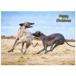 Greyhound Dog Christmas Card 'Happy Christmas' - Special Animal Xmas Card for Him Her from Pets Kids
