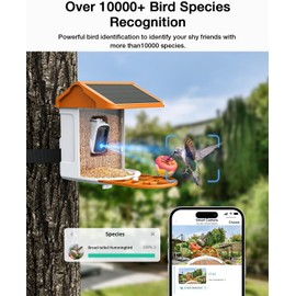 HARYMOR Smart AI Bird Feeder with Camera: Solar-Powered, 2K Live Video, Bird‘s Species Identification, Arrival Alerts, and Motion Capture –Wireless Bird Camera for Watching Birds (Orange)