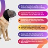 LeongLzt Field Guard, Vet-Recommended Dog Safety Mesh Protector for Foxtails,