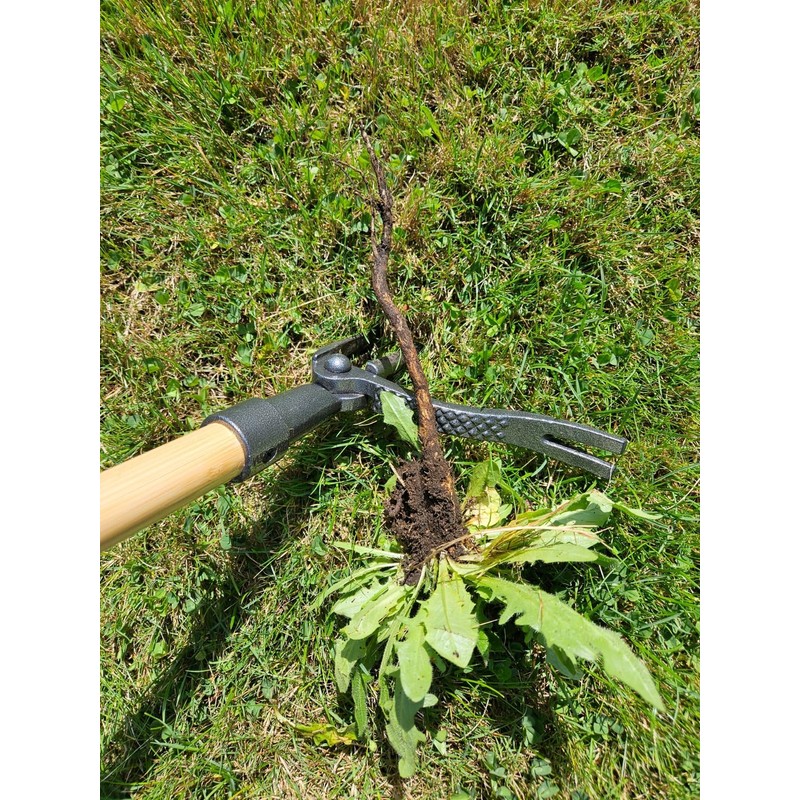 Edward Tools PullPro Long Handle Weed Puller Tool - 48"