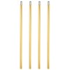 PATIKIL Threaded Extension Rod, 4 Sets 12" M10 x 1mm
