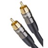 Alpluto Subwoofer Cable - RCA to RCA Audio Cable, Dual