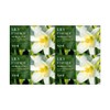 Happy Bath AP Duboret Soap Lily 100g x 20 units/face