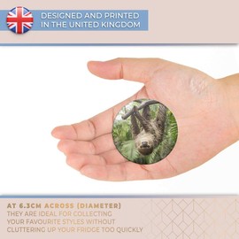 Destination Vinyl ltd Magnet for Refrigerator, Fridge - Cute Funny Jungle Sloth Animal for Office, Cabinet and Whiteboard, Magnetic Stickers, 2837