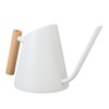Watering Can with Long Spout 800ml Stainless Steel Matte Indoor