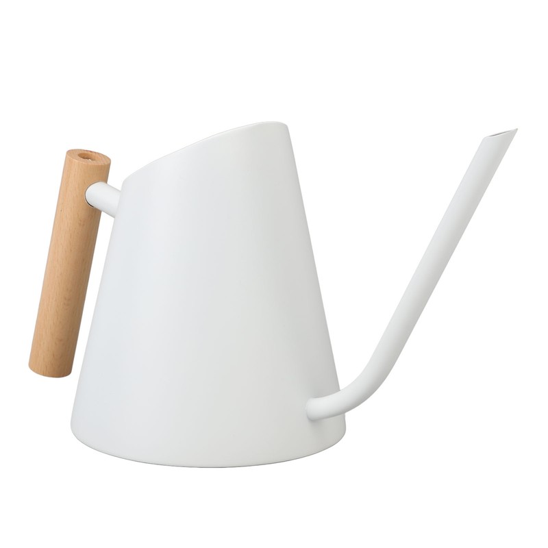 Watering Can with Long Spout 800ml Stainless Steel Matte Indoor