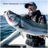 Shimano Sea Bass Lure Exsense Dive Assassin 80S Flash Boost