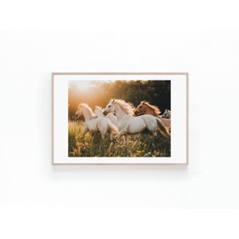 Photo Of Wild Horses Running Ranch Home Decor And Cowboy Photos Wildlife Large Posters Print Instant