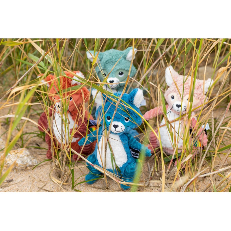 Les Déglingos PTIPOTOS by Plush Toy Netoitou The Raccoon Blue