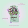 TONYMOLY - Mascarilla Facial Hidratante Con Lavanda I'm Real 5pzas.