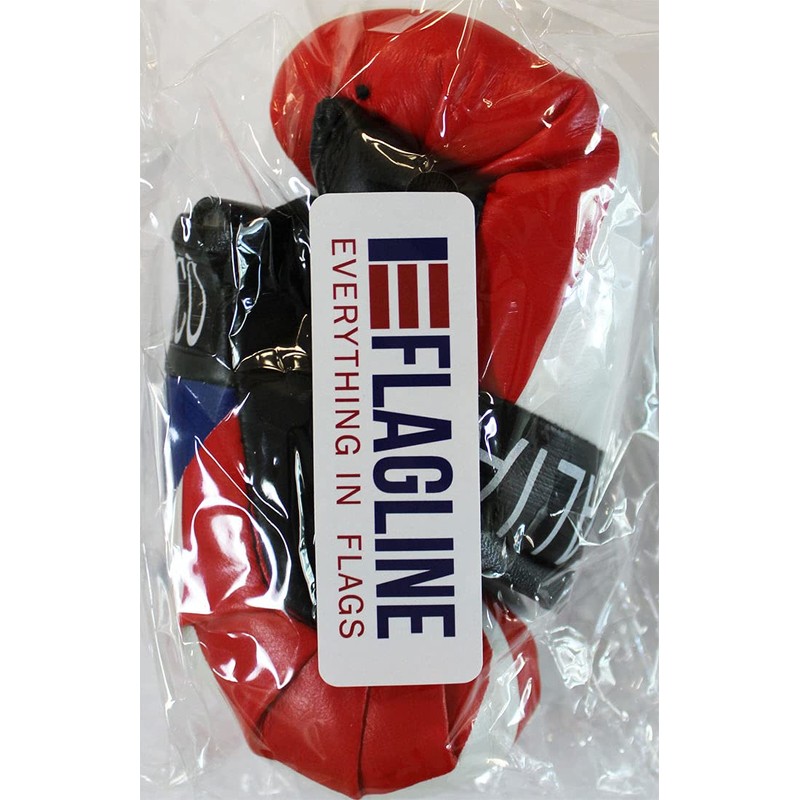 Flagline Puerto Rico and Italy - Mini Boxing Gloves