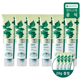 6 Dentiste mild toothpastes 200g + 4 mild 20g toothpastes provided / 덴티스테 마일드 치약 200g 6개 + 마일드 20g 4개 증정