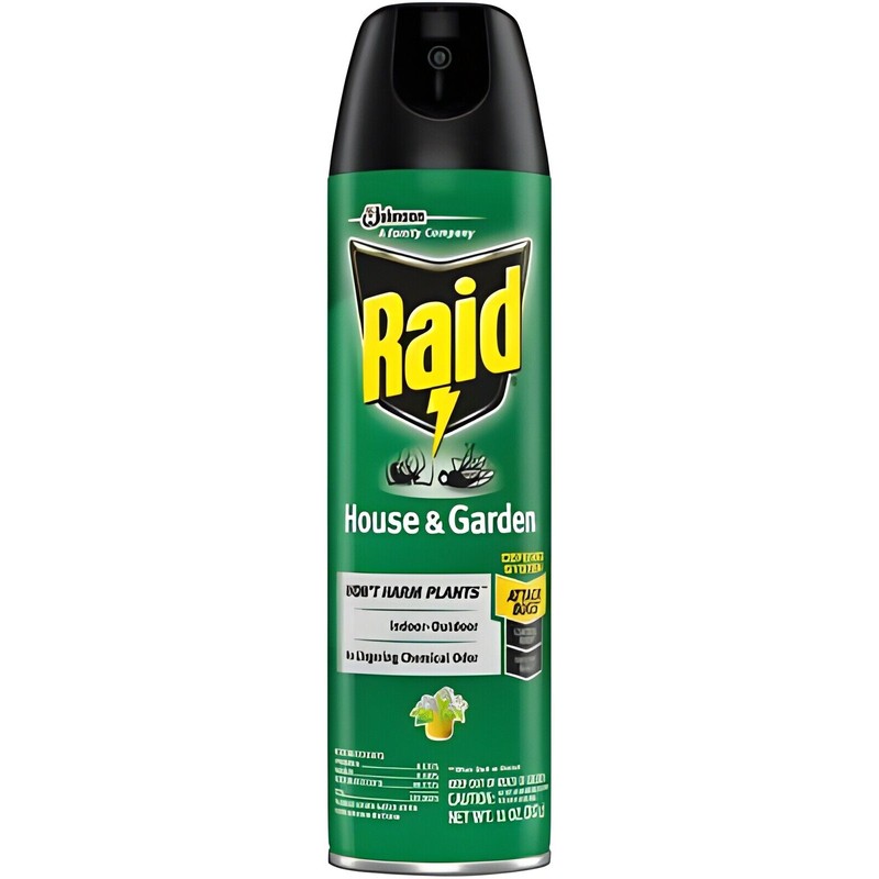Raid House and Garden Aerosol 11 Ounce (Pack of 1)