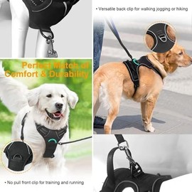 Monehet Dog Harness, No-Pull Dog Harness with 2 Leash Clips, Reflective Adjustable Soft Padded Vest with 5FT Dog Leash, Dog Seat Belt, and Storage Strap, Set for Small Medium Large Dogs (M)