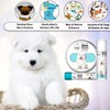 The Blissful Dog The Blissful Dog Samoyed Boo Butter, 0.15