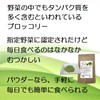 ブロッコリーパウダー 野菜パウダー 国産野菜 国内加工 無添加 ブロッコリー粉末 粉 乾燥 微粉末 60ｇ