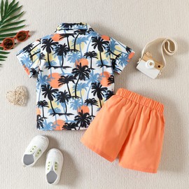 Toddler Baby Boys Summer Outfit Hawaiian Suits Floral Button-Down Shirt + Solid Color Shorts 2pcs Clothes Set (F182-palms, 4-5 Years)