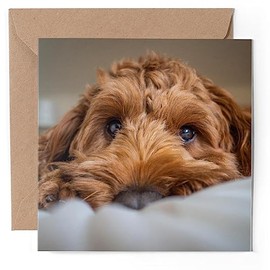 1 x Greeting Card - Brown Cockapoo Dog Puppy - Blank Birthday Celebration Anniversary #50398