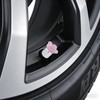 Xalvoria 4-Pack Pink Cherry Blossom Schrader Valve Caps (Silver)