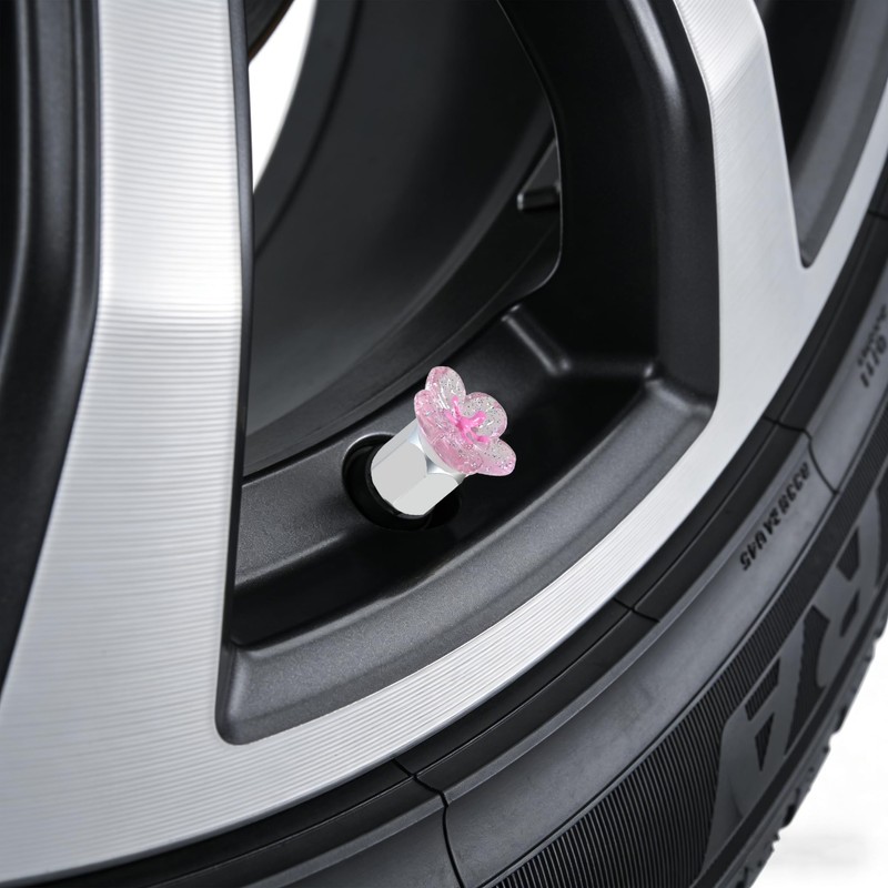 Xalvoria 4-Pack Pink Cherry Blossom Schrader Valve Caps (Silver)