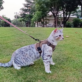 pangdi Cat Harness and Leash Set Escape Proof Tactical Extra Large Kitten Harness Emotional Support Cat Vest, Brown, XL