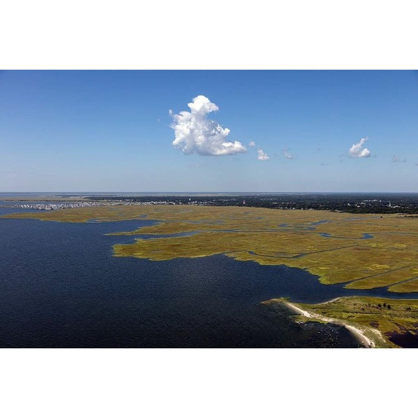 Historic Pictoric Photo- Marsh Area at The New Jersey Shore