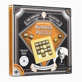 Einstein's Number Puzzle