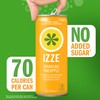IZZE Sparkling Water Juice Beverage Blend, Pineapple, No Sugar Added,