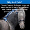 SU-PER SU-PER E-Se Horses Antioxidant Supplement - Vitamin E &